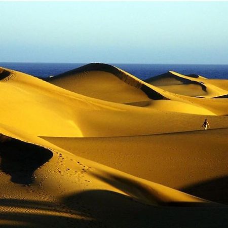 Caribe 530 Lägenhet Playa del Inglés Exteriör bild